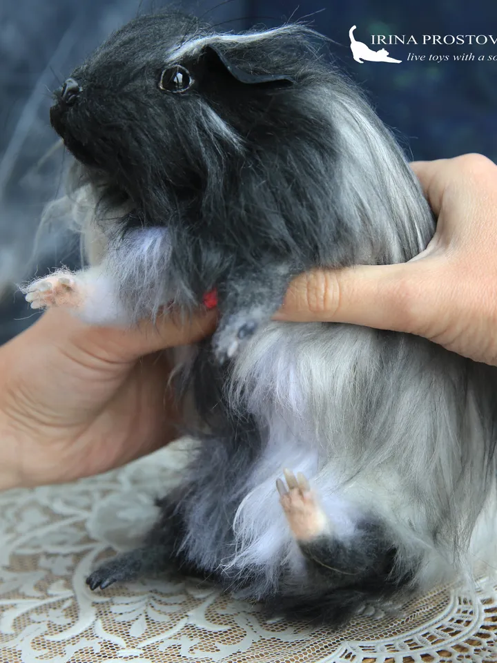 Guinea pig Tuffy .Plush animals. Ooak toy. Guinea pig stuffed toy