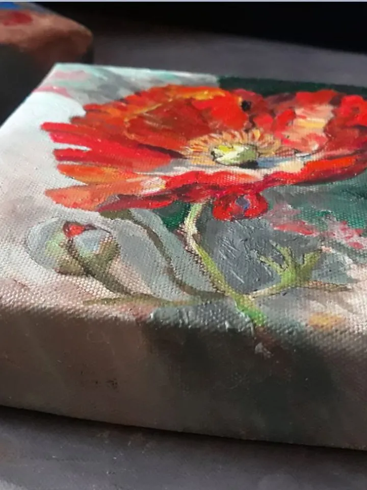 Poppy miniature