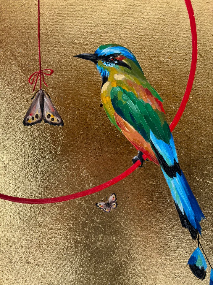 Pajaros Toh