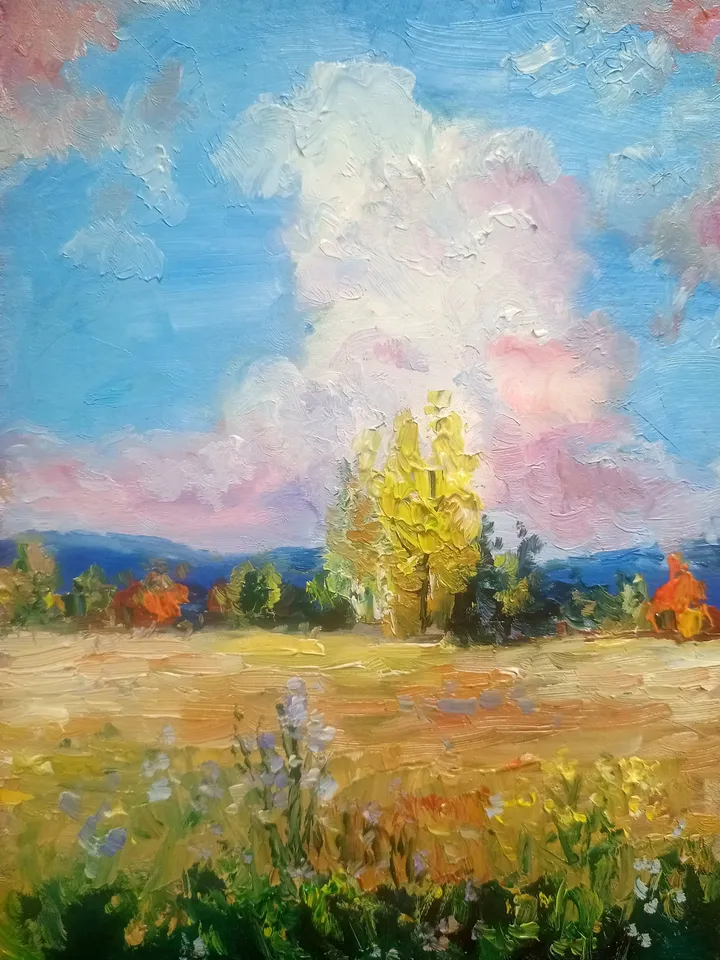 Oil painting scenery nature original painting wall art home decor,panoramic landscape sky clouds field of herbs and plants wall art decor