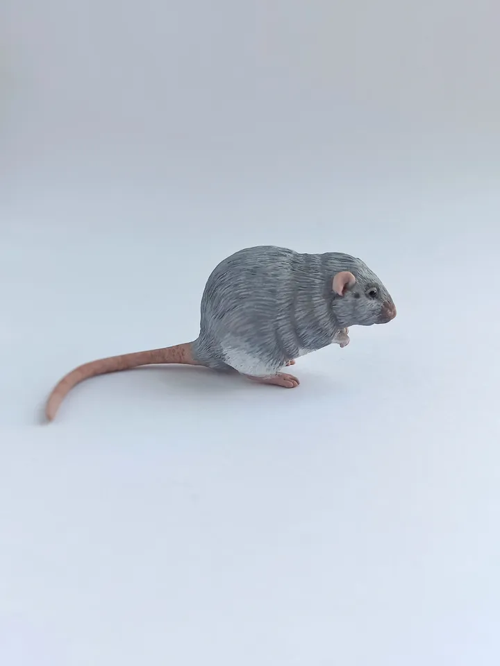 Small rat from photo