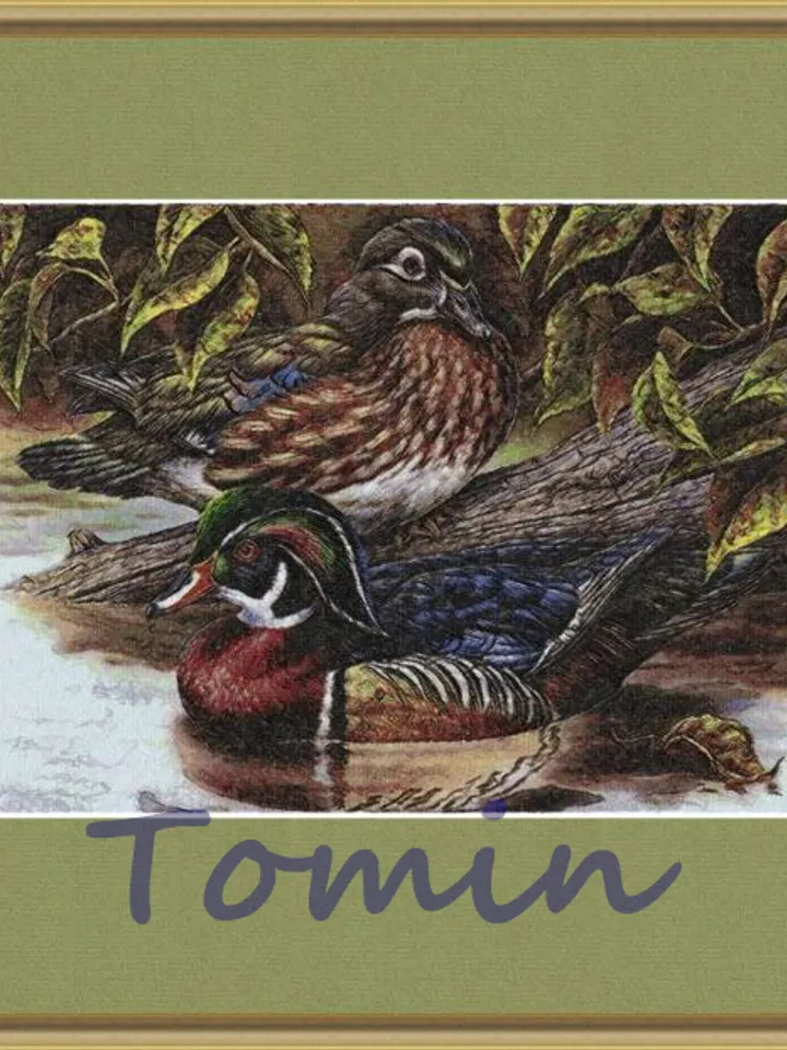 Mandarin Ducks photo stitch Machine Embroidery Design