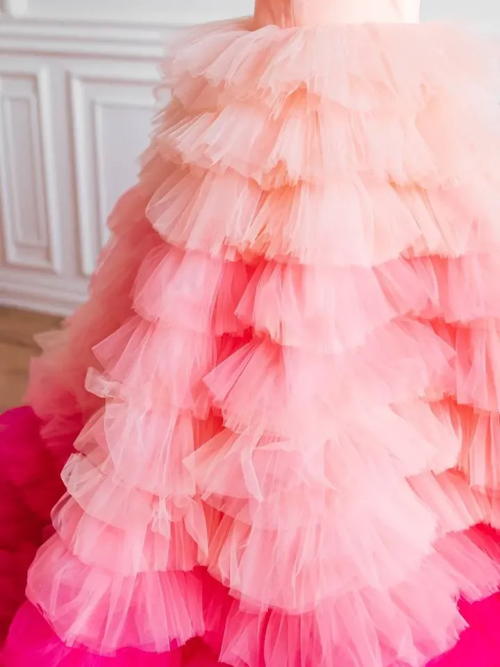 Princess Matching Dresses, Mommy and Me Gowns, Layered Tulle Dress, Pink Ombre Matching Dress, Ruffle Maxi Dress, Formal Photoshoot Dress