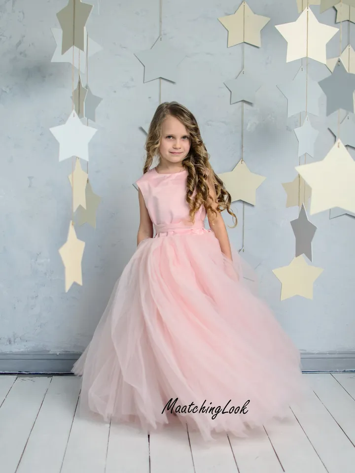 Blush Flower Girl Dress, Blush Tutu Dress, Heart Back Girl Dress, Cinderella Dress, Princess Dress, 1st Birthday Dress, Toddler Gown Dress
