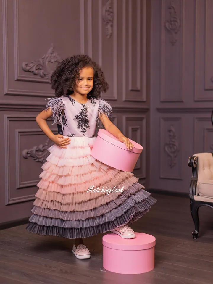 Princess Girl Dress, Girl Ombre Tulle Dress, Flower Girl Dress, Girl Tutu Dress, Birthday Dress, Ball Gown Dress, Little Girl Dress,Occasion