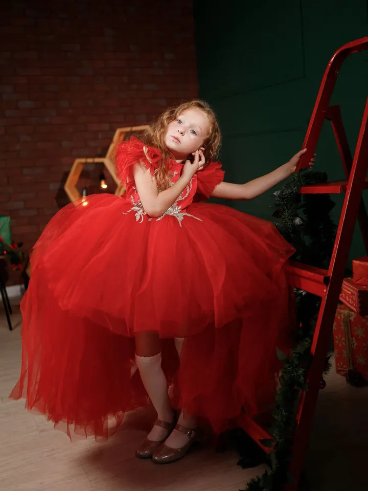 Girl Christmas Dress, Red Pageant Dress, Toddler Holiday Dress, Formal Gown, High Low Dress, Xmas Photoshoot, Puffy Girl Dress, Size 5