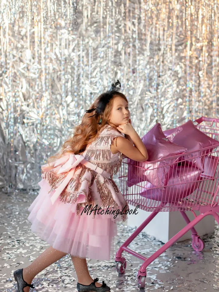 Pink Tutu Dress, New Year Dress, Blush Sequin Girl Dress, Party Girl Dress, Formal Girl Dress, Toddler Tulle Dress, Princess Tutu Dress