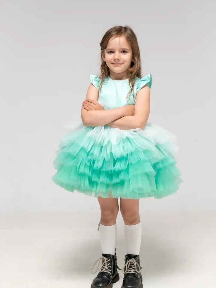 Mint Tutu Dress, Ombre Tulle Dress, Tiered Girl Dress, Flower Girl Dress, Asymmetrical Dress With Train, 1st Birthday Outfit, Princess Dress