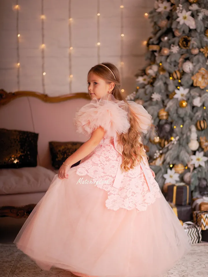 Peach Flower Girl Dress, Lace Girl Dress, Toddler Gown Dress, Photoshoot Dress, Puff Sleeve Dress, Girl Party Dress, Tulle Tutu Dress