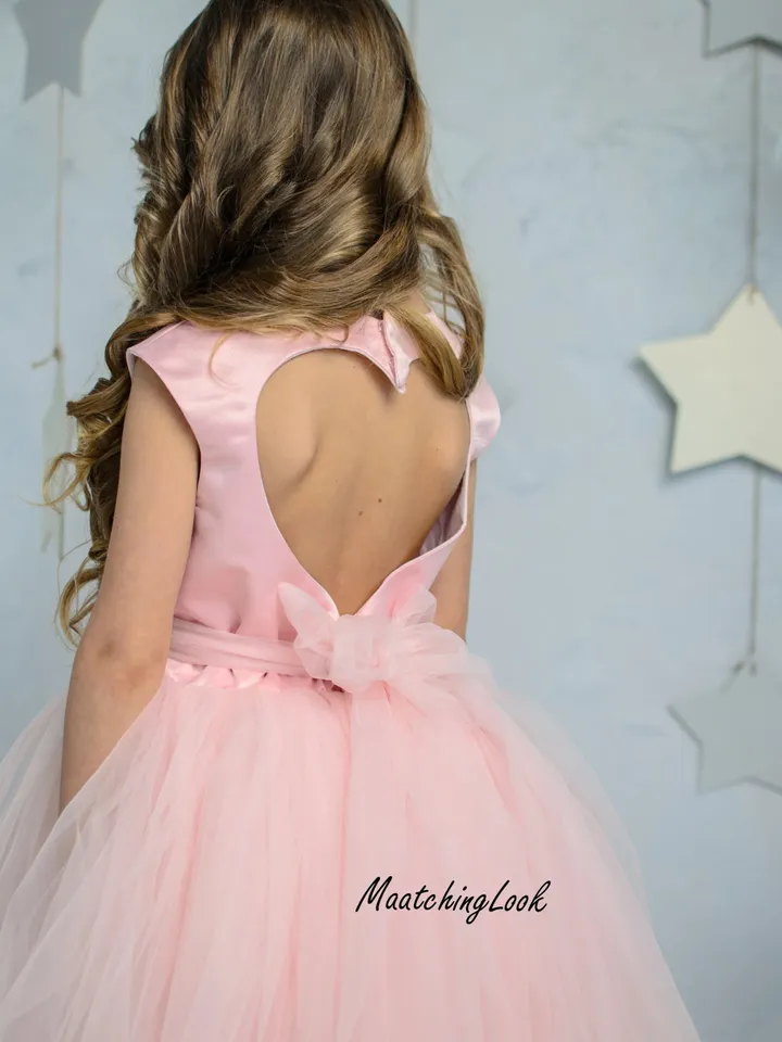 Blush Flower Girl Dress, Blush Tutu Dress, Heart Back Girl Dress, Cinderella Dress, Princess Dress, 1st Birthday Dress, Toddler Gown Dress