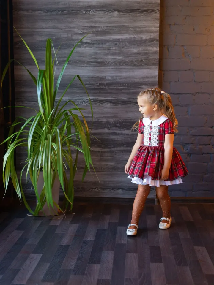 Toddler Christmas Dress, Holiday Girl Dress, Red Tartan Party Dress, Plaid Ruffle Dress, Girl Christmas Photoshoot Dress, Tutu Retro Dress