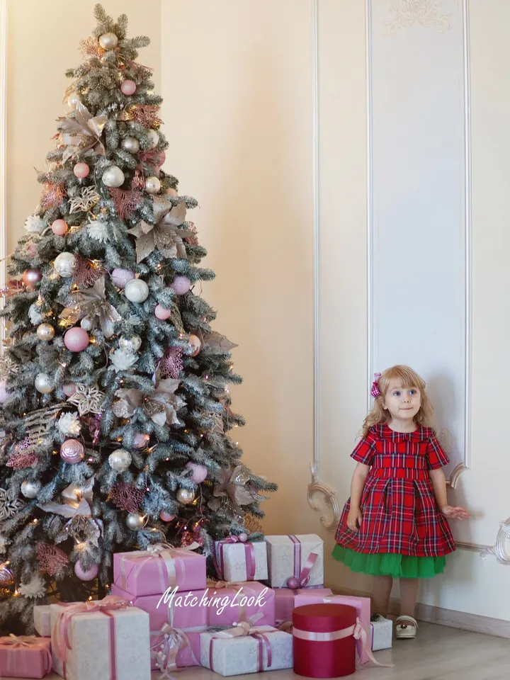 Toddler Christmas Dress, Tartan Dress Girls, Plaid Tutu Dress, Red Holiday Dress, Xmas Photoshoot Dress, Formal Occasion Dress, Photo Props
