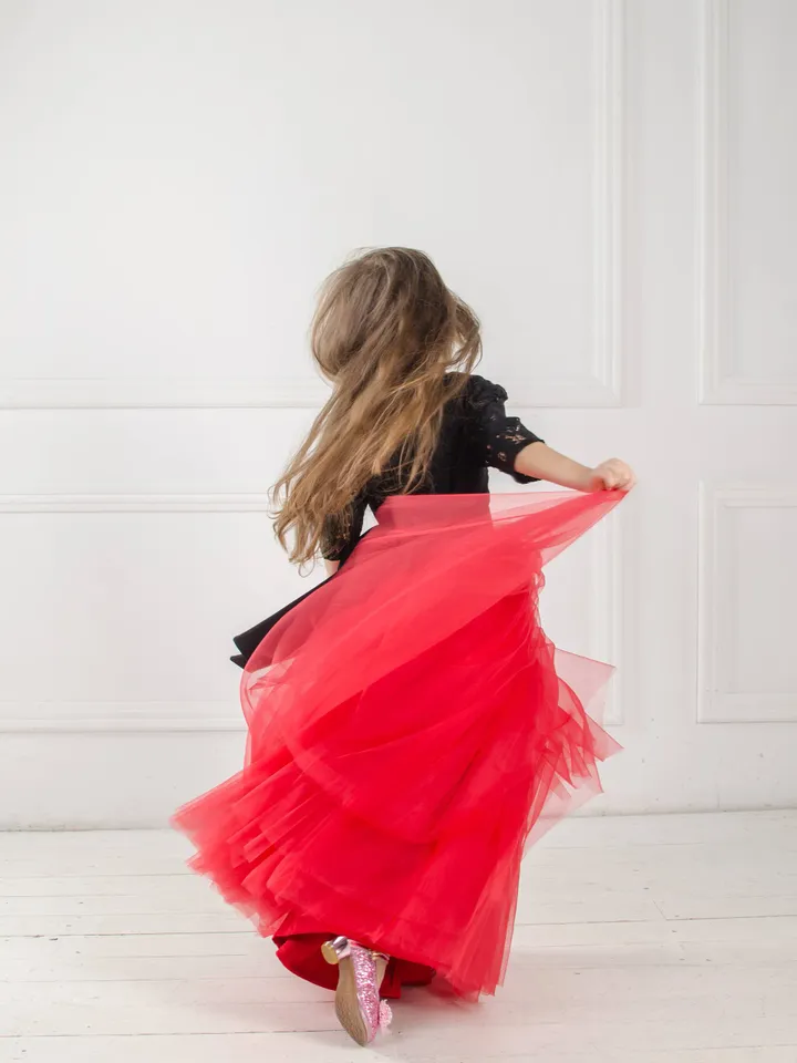 Red And Black Girl Dress, Flower Girl Dress, Tutu Tulle Dress, Pageant Dress, Special Occasion Dress, Baby Girl Lace Dress,Formal Girl Dress