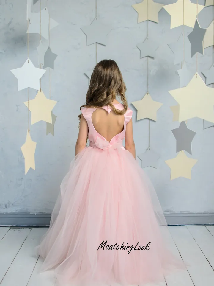 Blush Flower Girl Dress, Blush Tutu Dress, Heart Back Girl Dress, Cinderella Dress, Princess Dress, 1st Birthday Dress, Toddler Gown Dress