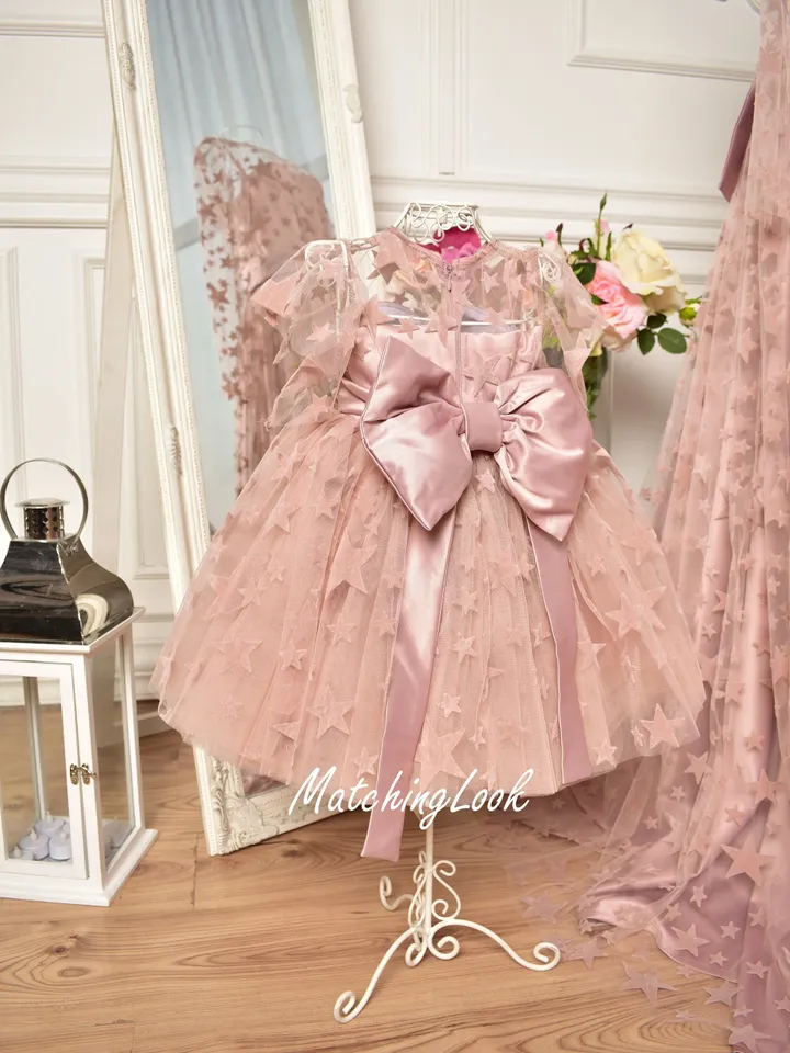 Baby Girl Dress Special Occasion, Toddler Party Dress, 1st Birthday Outfit, Blush Pink Dress, Baby Girl Dress, Flower Girl Dress,Tulle Dress