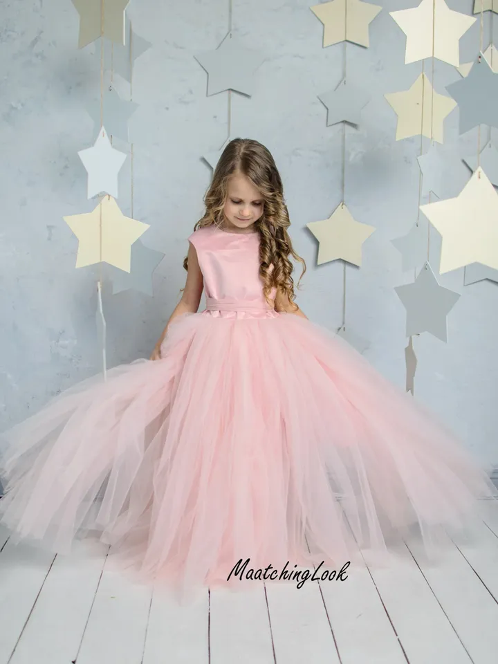 Blush Flower Girl Dress, Blush Tutu Dress, Heart Back Girl Dress, Cinderella Dress, Princess Dress, 1st Birthday Dress, Toddler Gown Dress