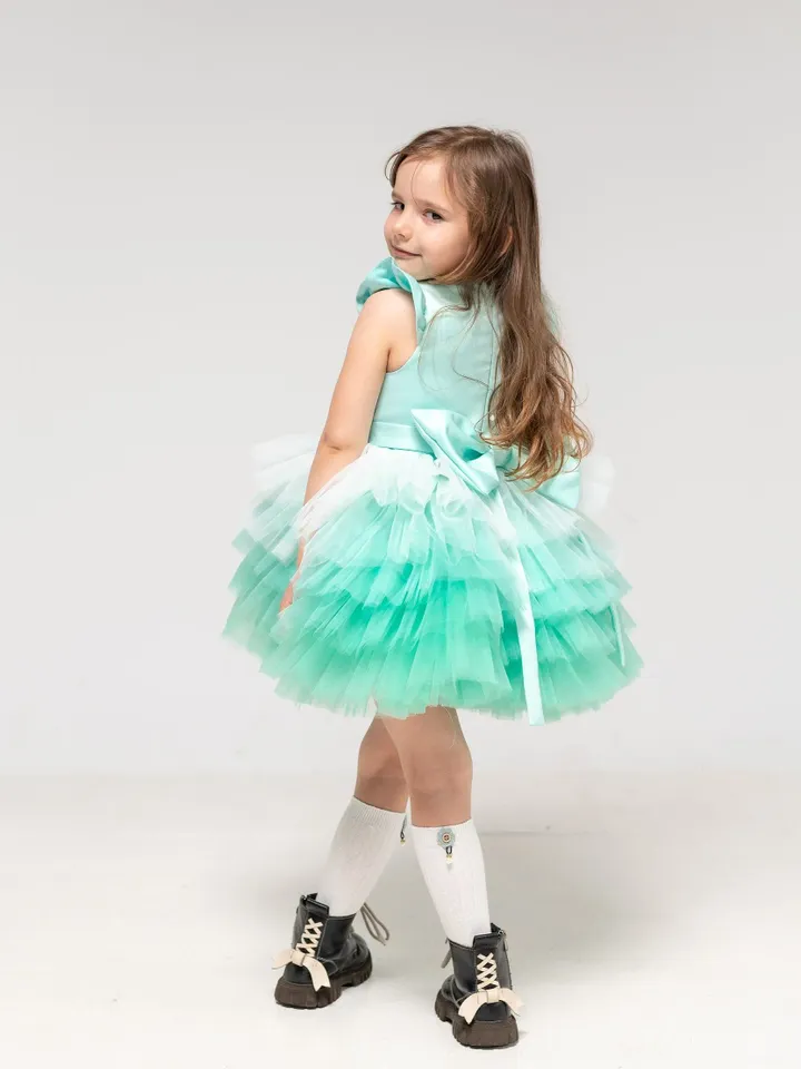 Mint Tutu Dress, Ombre Tulle Dress, Tiered Girl Dress, Flower Girl Dress, Asymmetrical Dress With Train, 1st Birthday Outfit, Princess Dress
