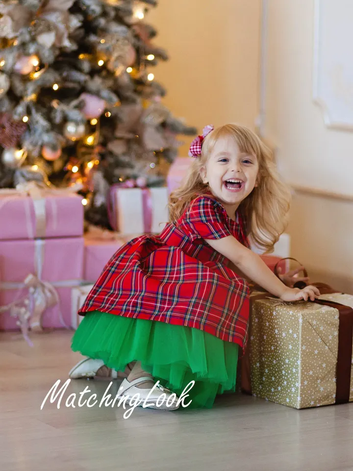 Toddler Christmas Dress, Tartan Dress Girls, Plaid Tutu Dress, Red Holiday Dress, Xmas Photoshoot Dress, Formal Occasion Dress, Photo Props