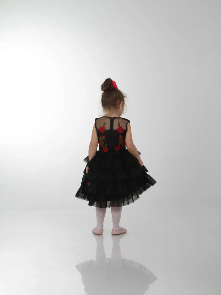 Mother Daughter Matching Dresses, Black Tutu Dresses, Mommy and Me New Year Outfit, Photoshoot Dress, Embroidered Formal Dress,Layered Dress