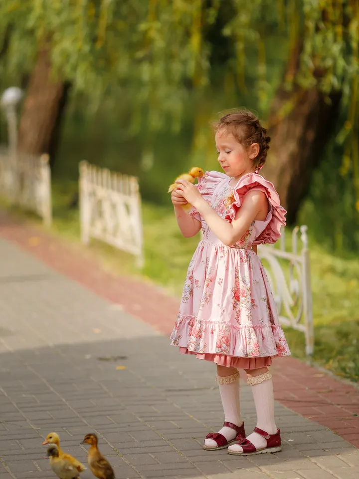 Girl Pink Dress, Floral Dress, Girl Frill Dress, 1st Birthday Dress, Photoshoot Dress, Girl Flare Dress, Girl Ruffle Dress, Toddler Dress