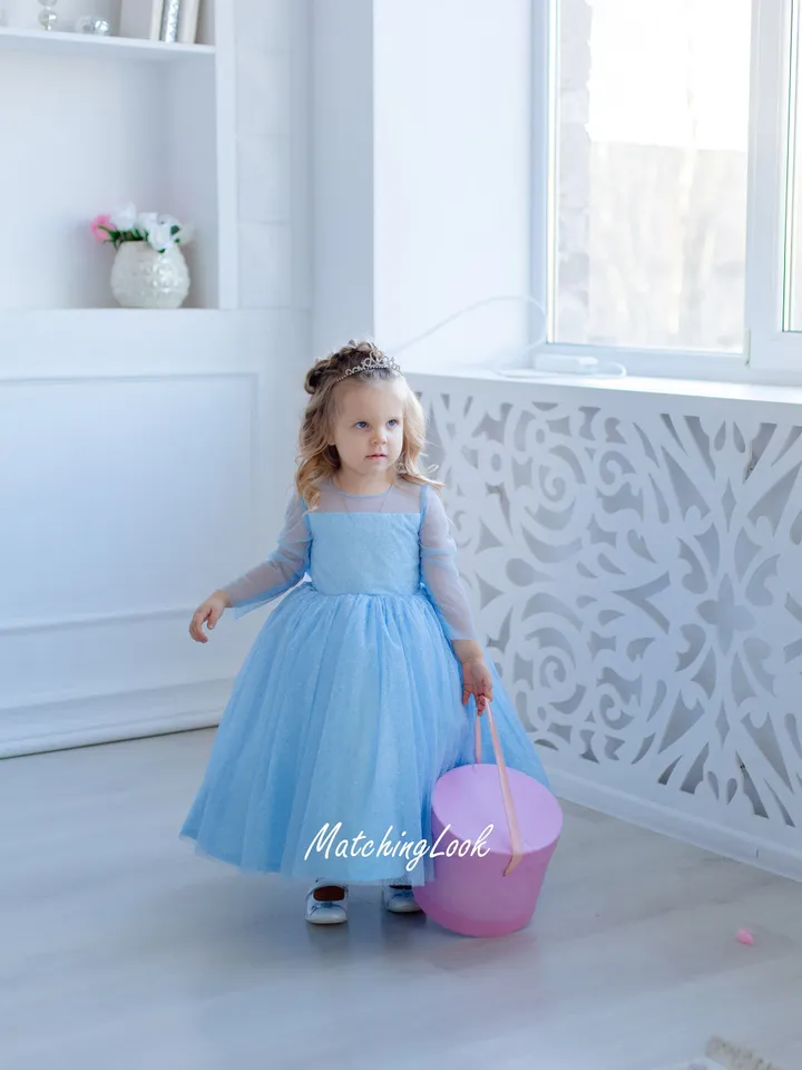 Frozen Elsa Costume Toddler, Girl Tutu Dress, Princess Dress, Tulle Girl Dress, Birthday Outfit, Toddler Girl Dress, Elsa Costume, Fairytale