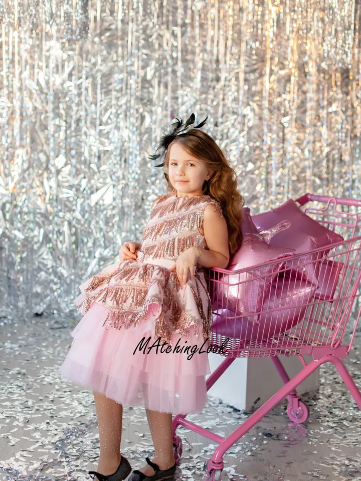 Pink Tutu Dress, New Year Dress, Blush Sequin Girl Dress, Party Girl Dress, Formal Girl Dress, Toddler Tulle Dress, Princess Tutu Dress