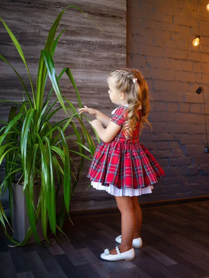 Toddler Christmas Dress, Holiday Girl Dress, Red Tartan Party Dress, Plaid Ruffle Dress, Girl Christmas Photoshoot Dress, Tutu Retro Dress