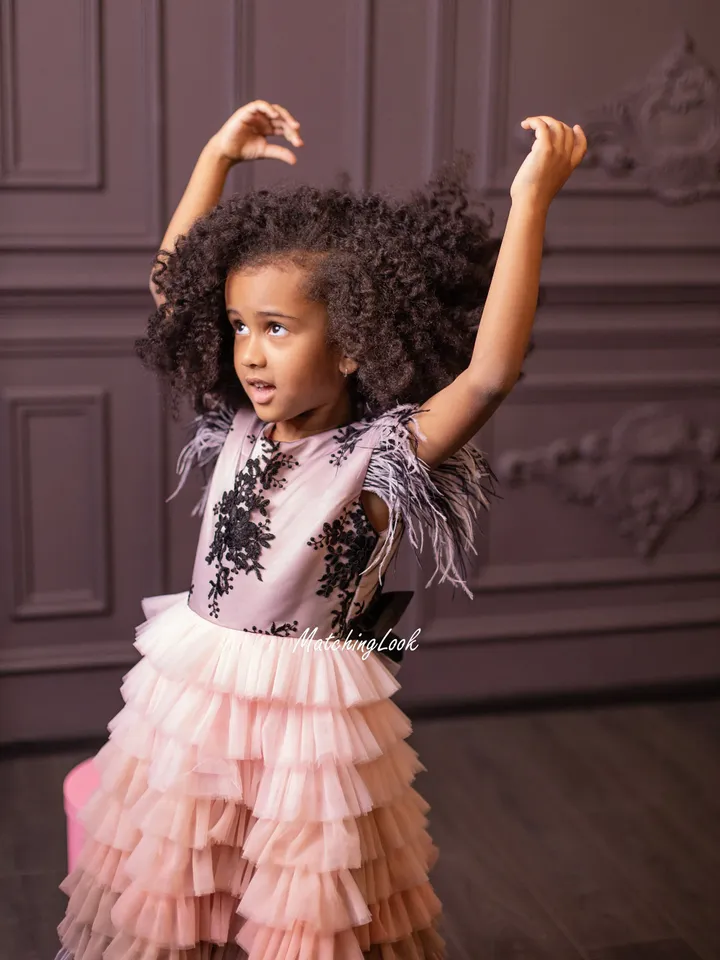 Princess Girl Dress, Girl Ombre Tulle Dress, Flower Girl Dress, Girl Tutu Dress, Birthday Dress, Ball Gown Dress, Little Girl Dress,Occasion