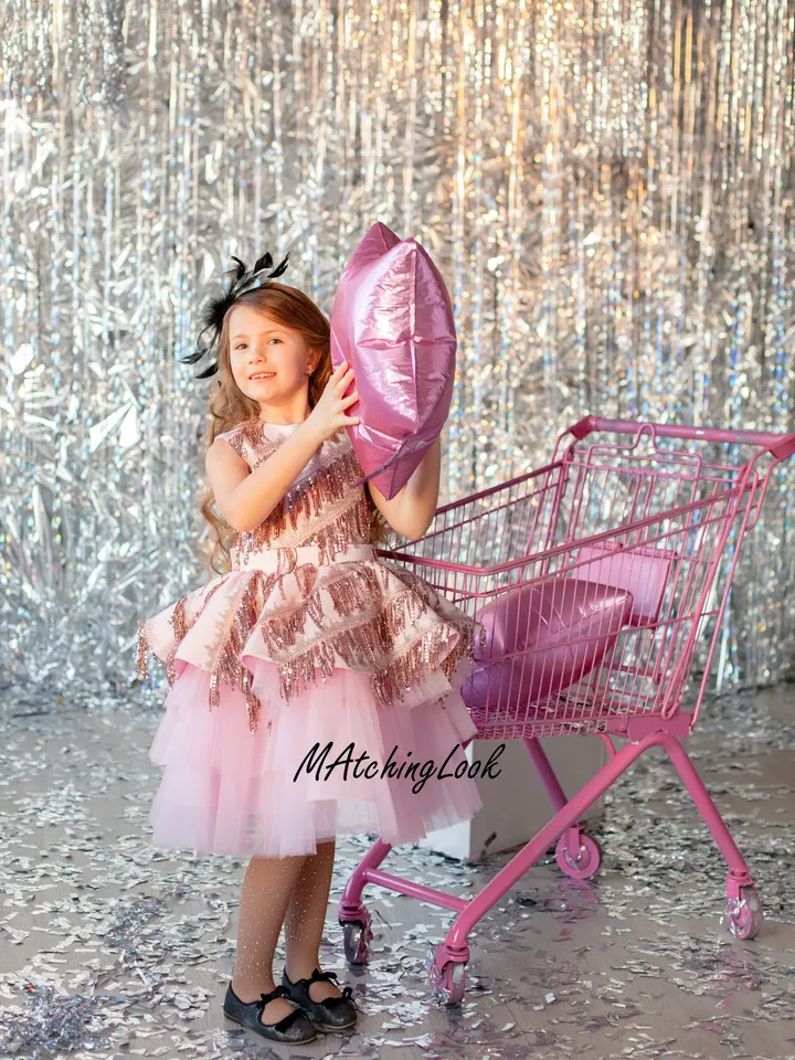 Pink Tutu Dress, New Year Dress, Blush Sequin Girl Dress, Party Girl Dress, Formal Girl Dress, Toddler Tulle Dress, Princess Tutu Dress