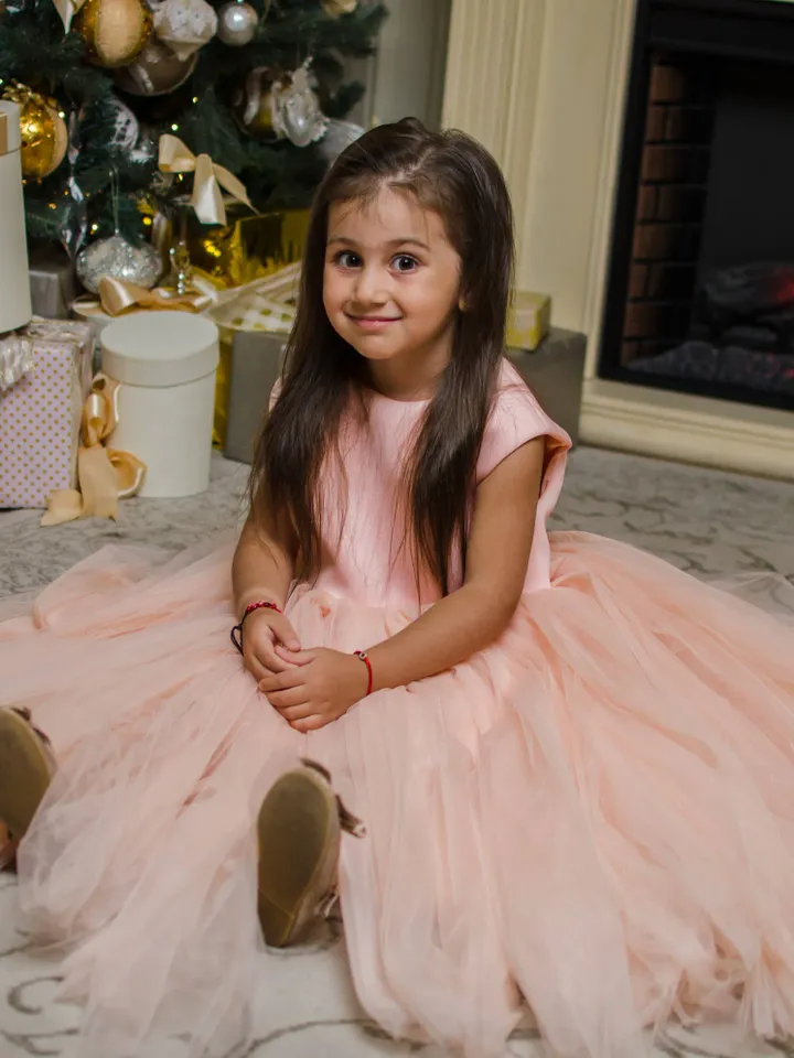 Blush Girl Dress, Peach Princess Dress, 1st Birthday Dress, Toddler Gown Dress, Girl Flower Dress, First Communion Dress, Christening Dress