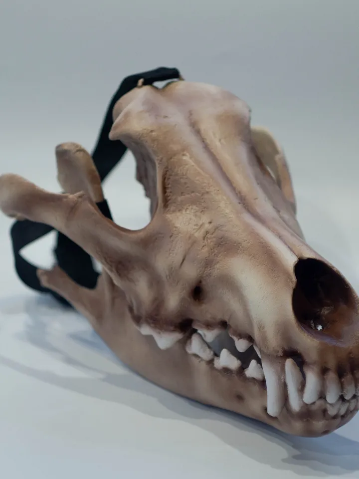 Wolf Skull Mask | animal skull mask |  | realistic wolf mask | resin skull mask | cosplay face mask | halloween scary mask | creepy mask