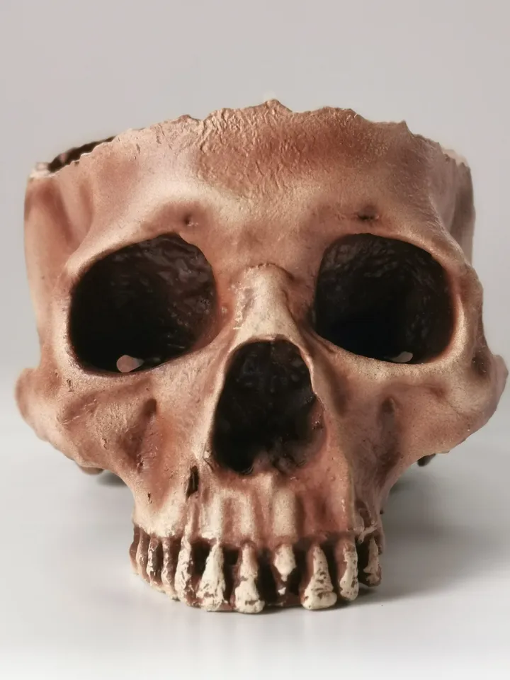 Skull Planter, Human Skull Bowl, Skeleton Bowl, Skull Decoration, Skull Pot, Halloween Bowl, Realistic Human Size Skull Replica Bowl