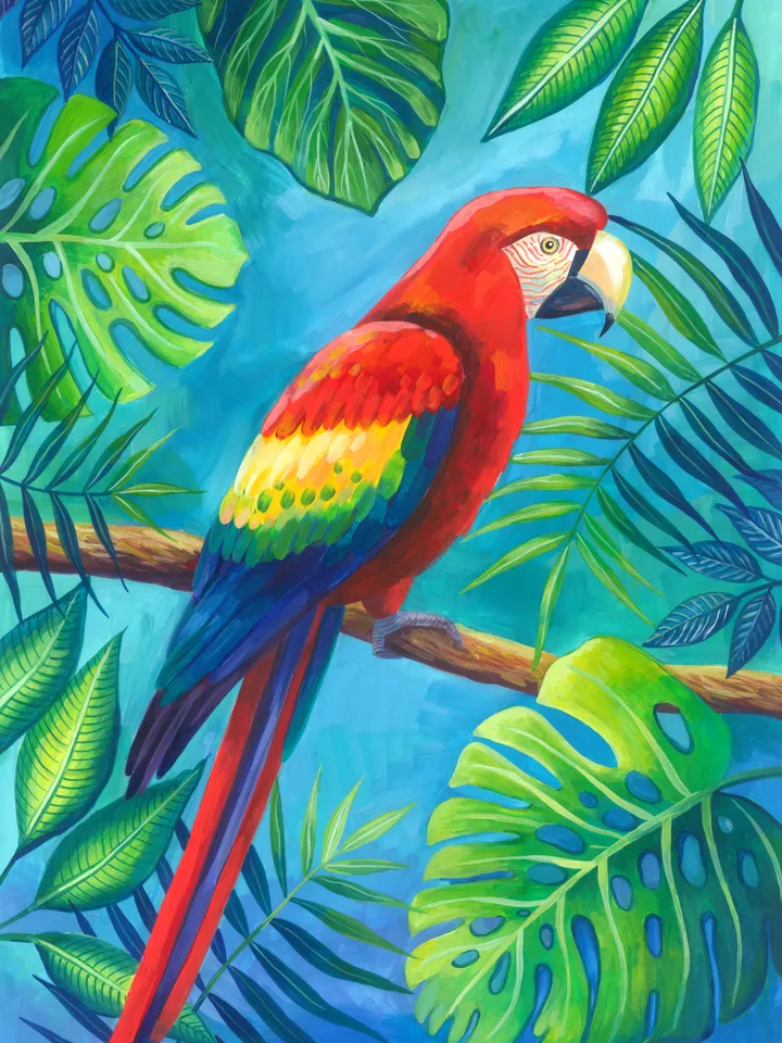 dijital art print illustration parrot