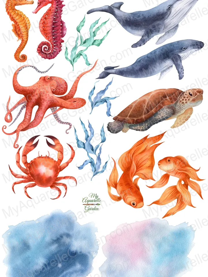 Sea animals. Under the sea. Watercolor hand-painted (not AI!) clipart. Whale, crab, goldfish, seahorse, turtle, octopus, seagrass. Decoration. Printable PNG. Instant download