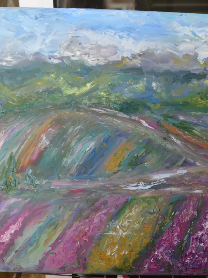 Japanese fields large canvas ,original oil landscape painting,,meadows,mountains,coloured fields painting,50/70 sm canvas wall art.