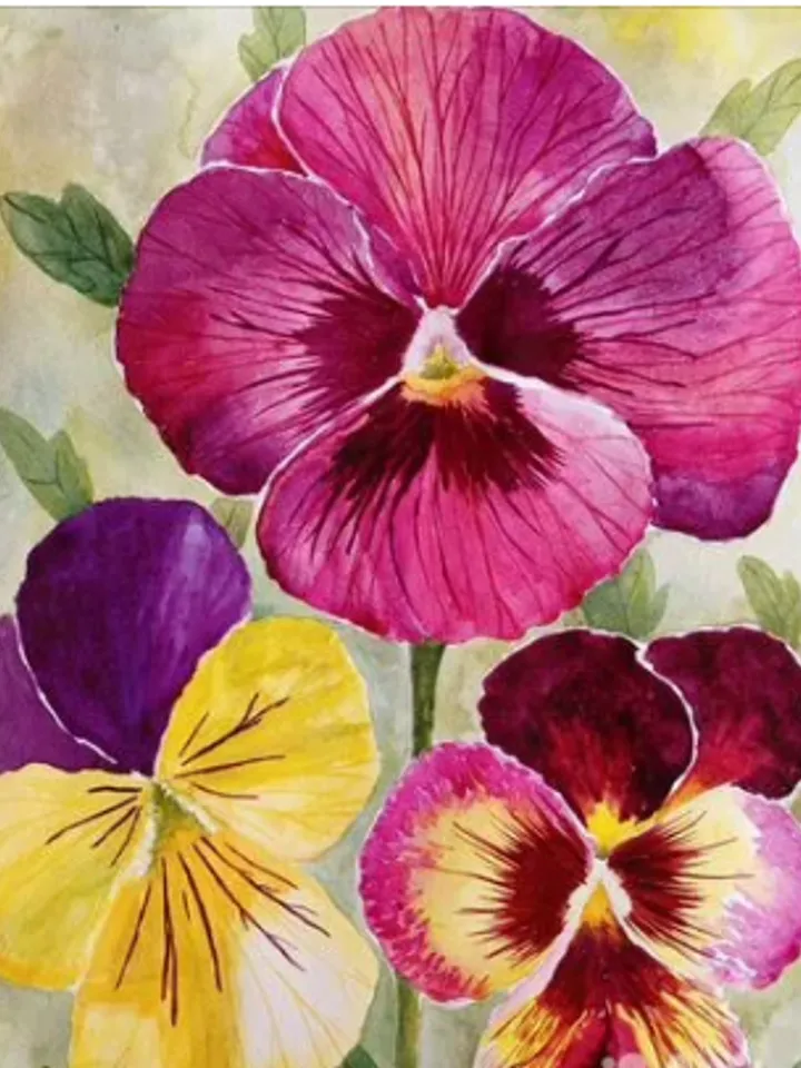 Framed painting under glass "Pansies", watercolor, size 40 x 30 cm