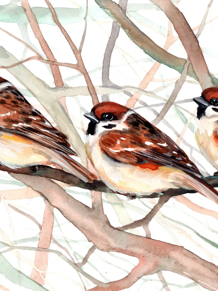 Original watercolor sparrows painting 8x11 in, sparrows on a branch by Anne Gorywine