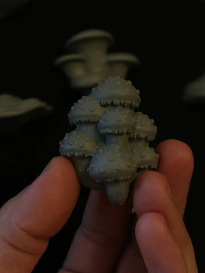 Set of 13 Magnets of Mushrooms (Unpainted)