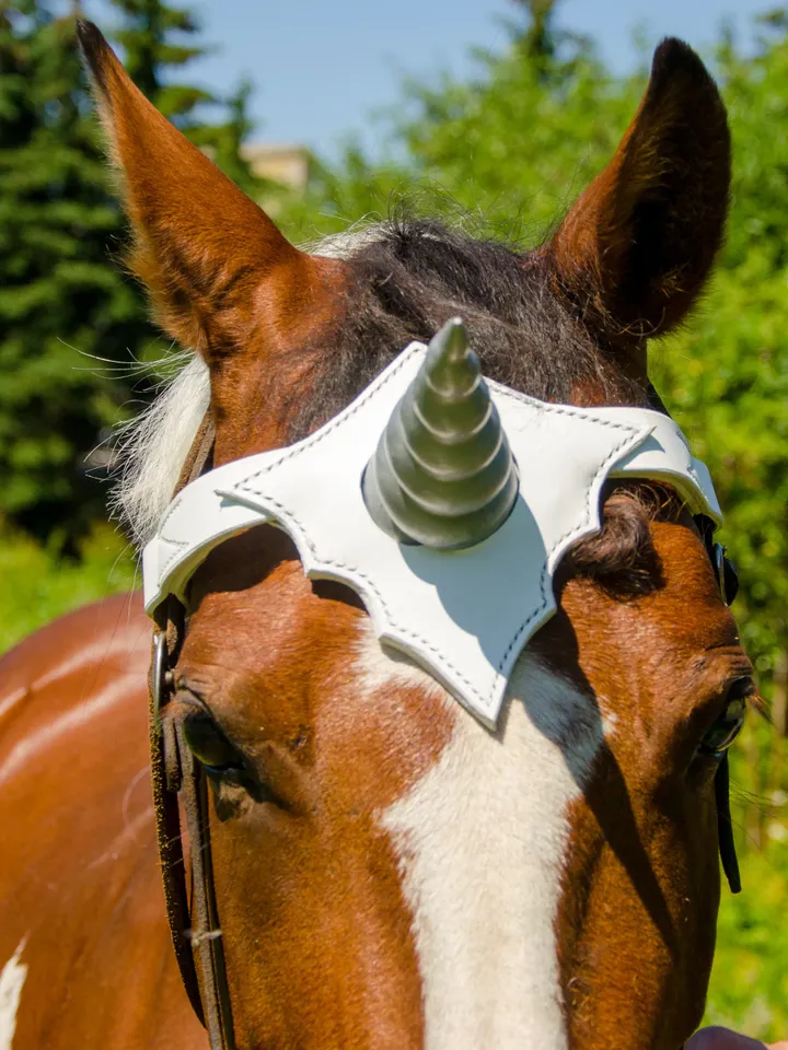 Unicorn browband for pony, mini horse. Handmade browband with soft horn. Custom size & colors