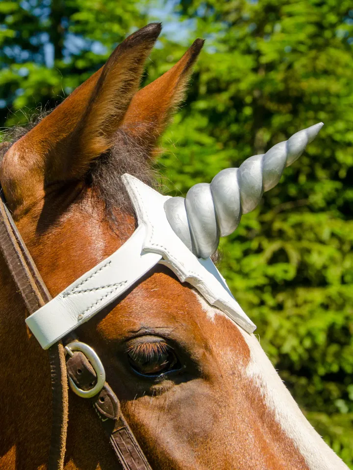 Unicorn browband for pony, mini horse. Handmade browband with soft horn. Custom size & colors