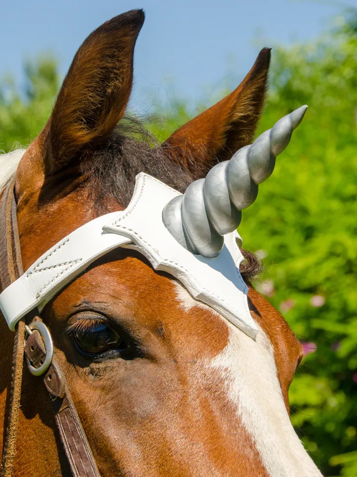 Unicorn browband for pony, mini horse. Handmade browband with soft horn. Custom size & colors