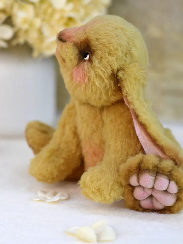 Teddy bunny, a soft toy