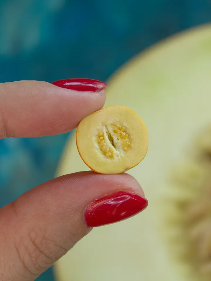 TUTORIAL Miniature melon with polymer clay