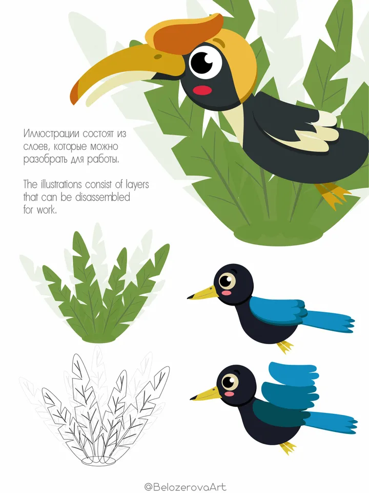 Tropical birds 2