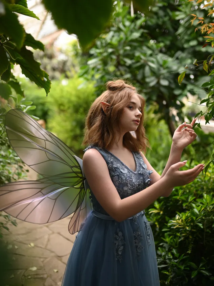 Magic fairy wings, fairy wings, magic butterfly wings for photo shoot, beautiful wings for wedding, party wings
