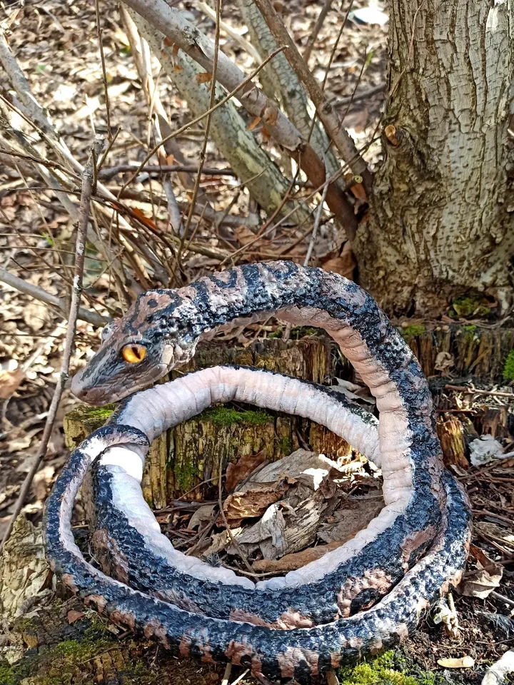 ART doll. Realistic python, snake. Handmade FOR SALE