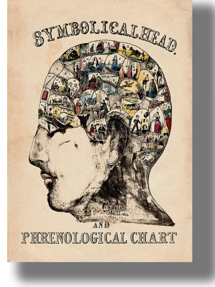 Symbolic head and phrenological diagram.