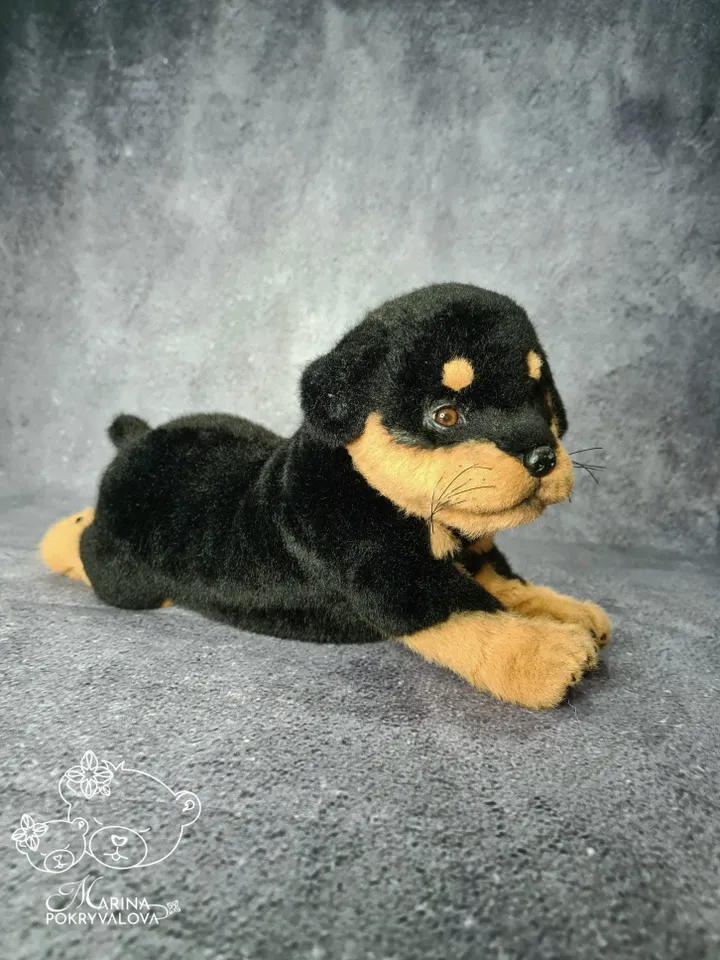 Rottweiler. Realistic dog. Lifelike toy dog. Stuffed dog.