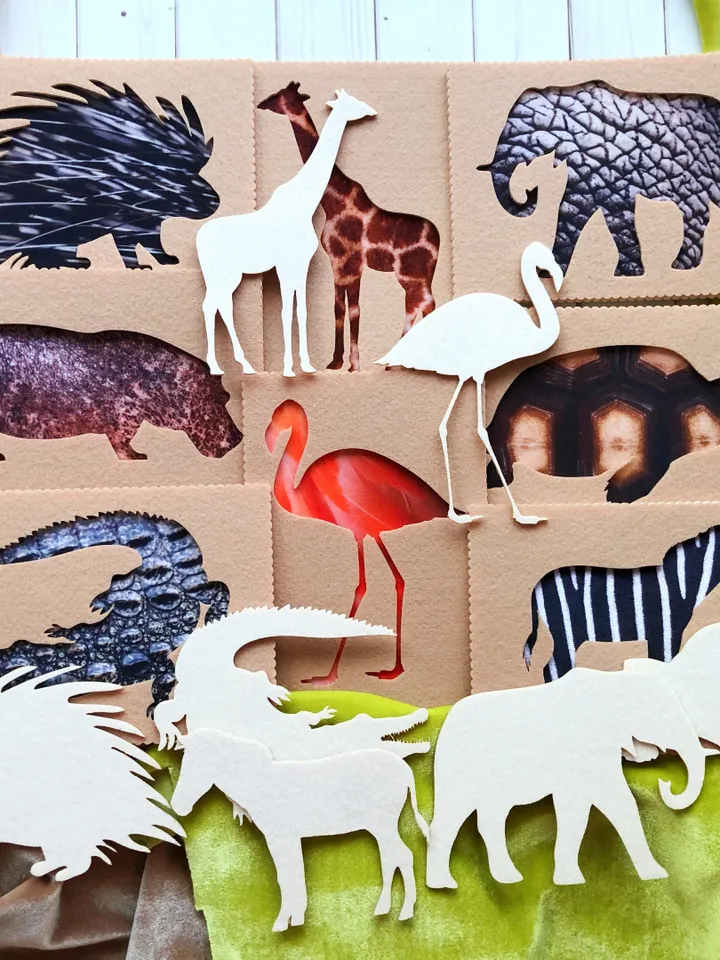 full set of tactile cards about animals