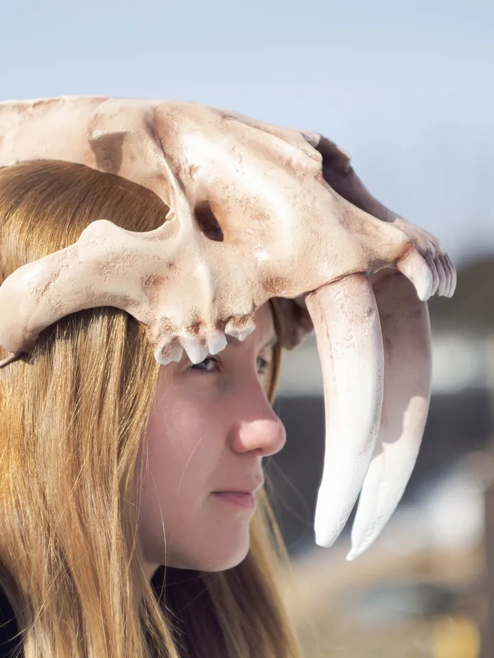 Smilodon Skull Mask Helmet | Horror Mask | Realistic Animal Skull on head | tribal headpiece | Headpiece skull | ritual mask | pagan
